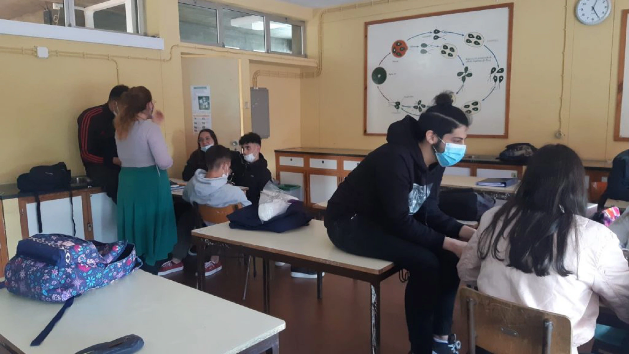 Ambiente Ativista2